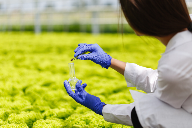 Biotecnología agrícola